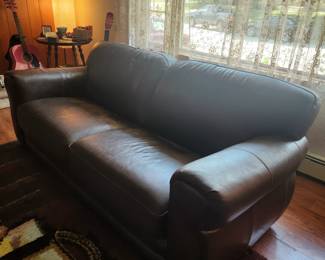 Leather couch. Pet friendly house