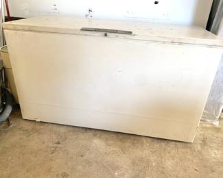 Large chest freezer 