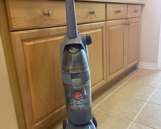 #26 - $40 Hoover Floormate