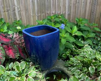 #56 - $80 Blue squarish planter 16x16x22H