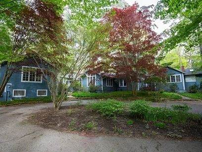 Blue and White House