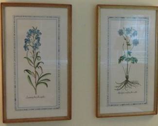 Bdrm 3 Botanical Prints