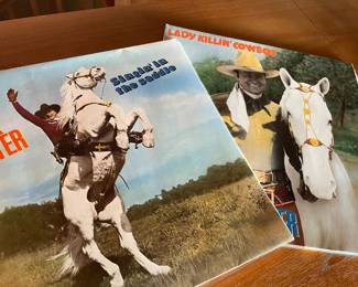 Assortment of Vinyl Records