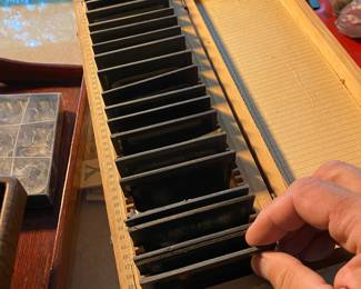 Glass negative collection