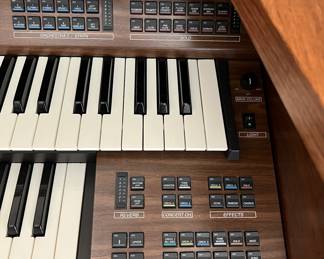 Sapphire Organ w Bench