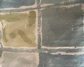 Shower Curtain w Hooks