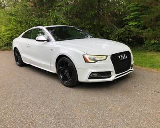 2013 Audi S5