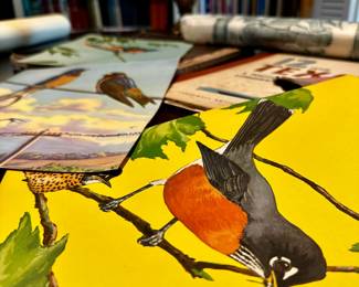 Bird Prints & Books
