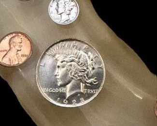 Vintage Lucite COIN Toilet Seat with MORGAN and PEACE Dollars