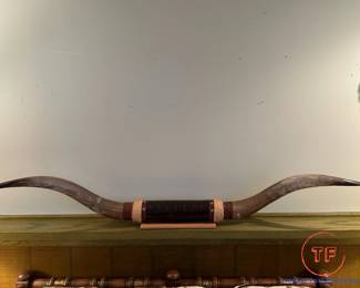 Long Horn Steer 6' Mounted Horns