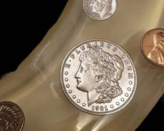 Vintage Lucite COIN Toilet Seat with MORGAN and PEACE Dollars