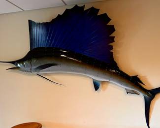 Mounted Sailfish 