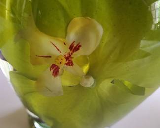 Real orchid sealed in vase