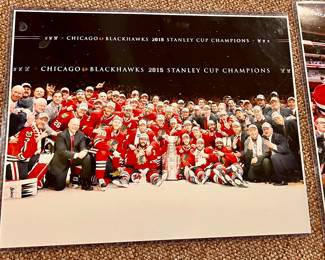 2015 Chicago Blackhawk Stanley Cup Champions poster size photo