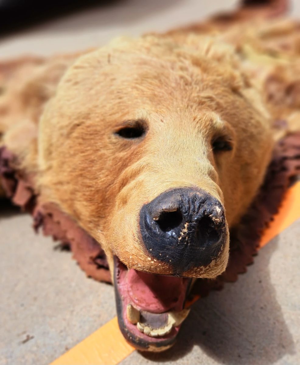 1/2 OFF SATURDAY ALL REMAINING ITEMS!!
Large 2 Day Estate/Living Estate Sale. Our warehouse and parking lot will be FULL!!