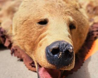 1/2 OFF SATURDAY ALL REMAINING ITEMS!!
Large 2 Day Estate/Living Estate Sale. Our warehouse and parking lot will be FULL!!