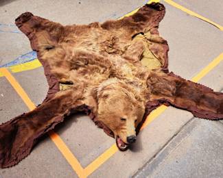 Much antiques, primitives and collectibles!! Vintage bear skin rug 