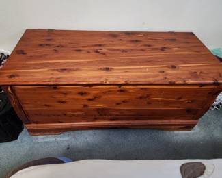 Beautiful Cedar Trunk