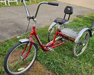 ADULT TRICYCLE