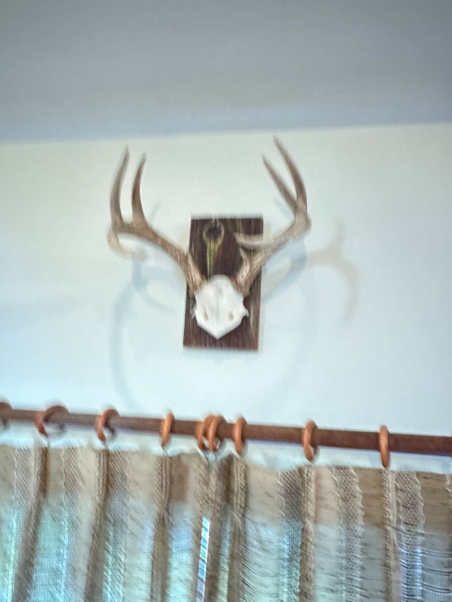 Pewaukee Estate Sale! starts on 6/21/2024