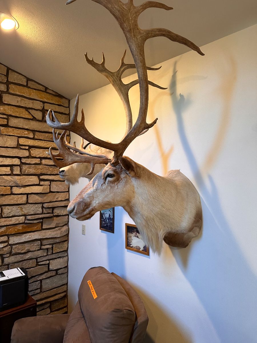 Pewaukee Estate Sale! starts on 6/21/2024