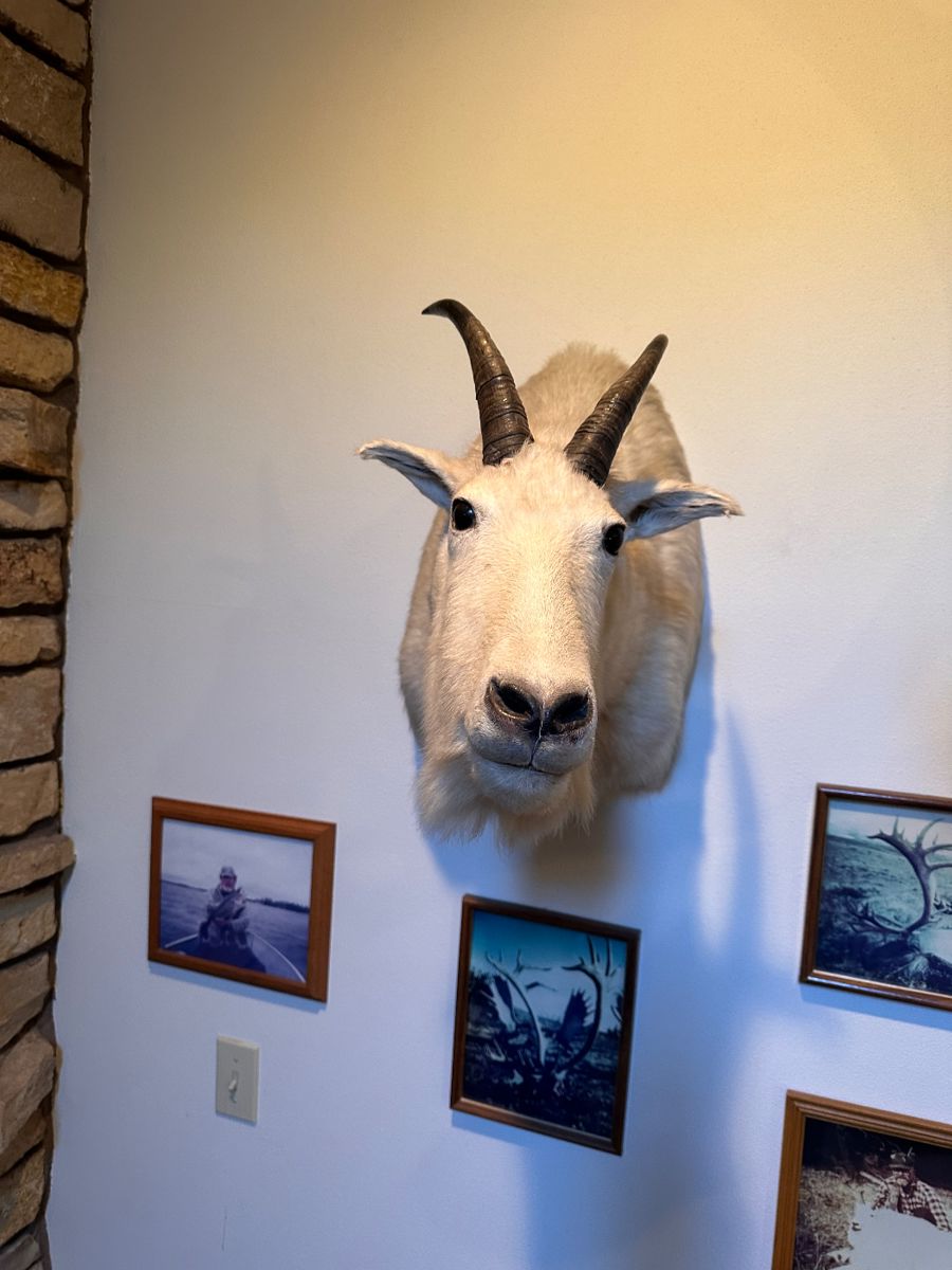 Pewaukee Estate Sale! starts on 6/21/2024