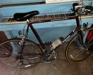 Adult Schwinn Sprint bike