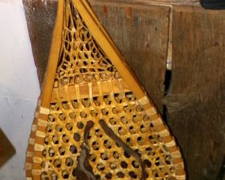 Snow Shoes 