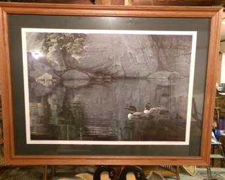 Framed loon print 
