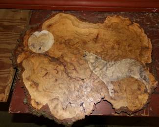 Wood burl art 