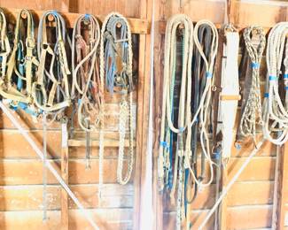 Horse Lead Ropes, etc.