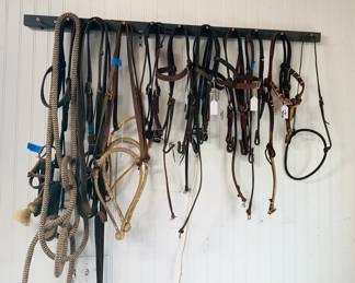 Bridles