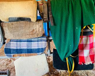 Horse Pads & Blankets