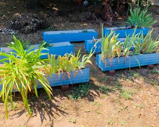 Blue Planters
