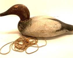 Vintage Canvasback Decoy