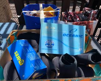 everything you need to scuba dive