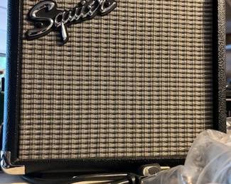 Squire Sidekick speaker serial #IA05G 05955, 120V, 6Hz, 28w