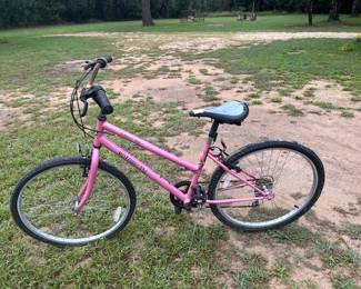 Motobecane Jubilee 100