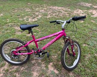 Magna Great Divide kid's bike