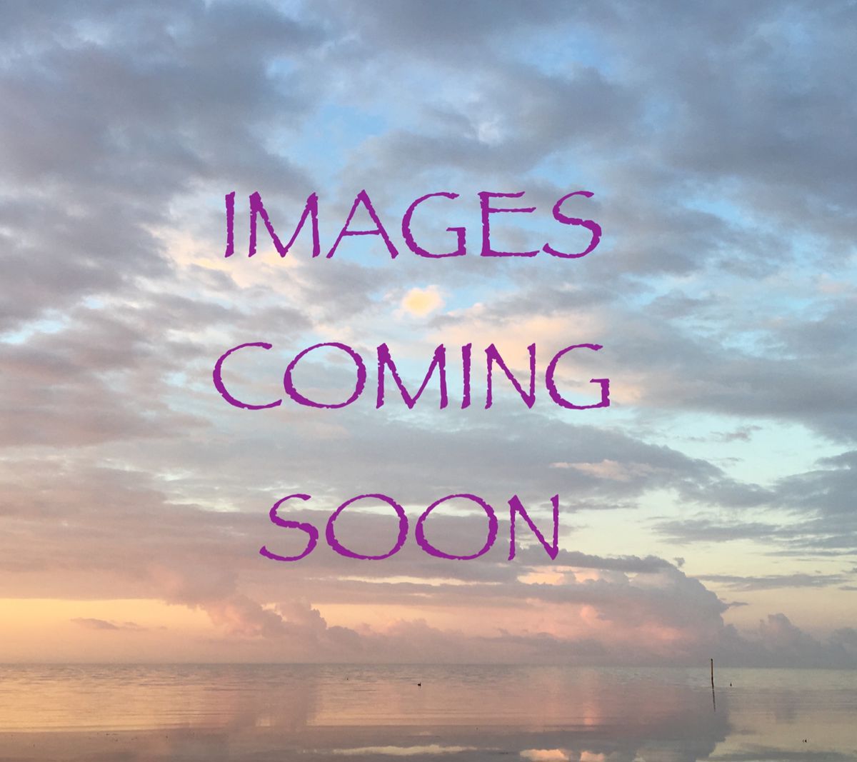 Susie's Key West Estate Sales in Key West, FL