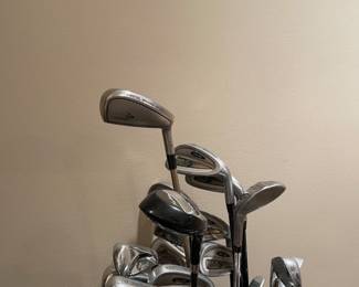 SOME OF THE MANY GOLF CLUBS