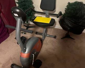 recumbent bike