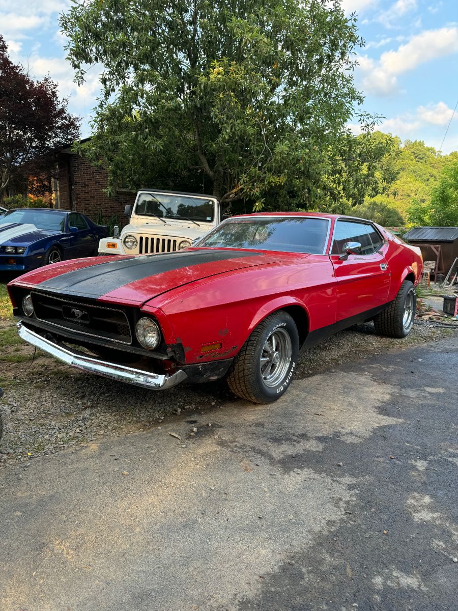 Collections on Cleveland, Estate Sale & Auction... starts on 6/20/2024