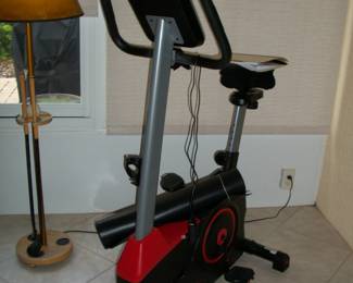 Sunny Exercise Bike