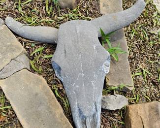 Concrete Longhorn Skull