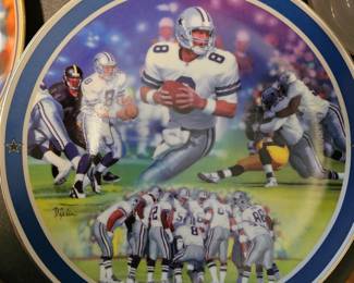 Troy Airman  Bradford Exchange Plate