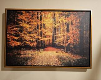 Framed “Fall Forest” Picture