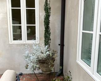 Pot on Stand w/plants-$120