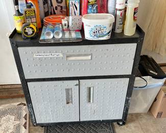 Metal utililty cabinet