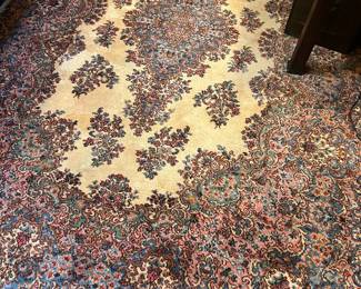 Hand woven large area rug